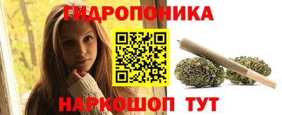 стафф Краснодар